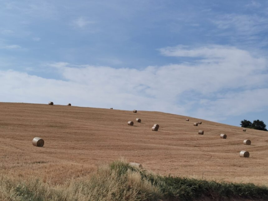 LA VIA DEL SALE A TENUTA SANT’ ILARIO